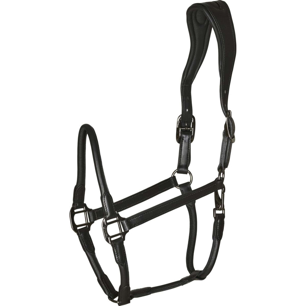 Catago Cabestro de Cuero Negro