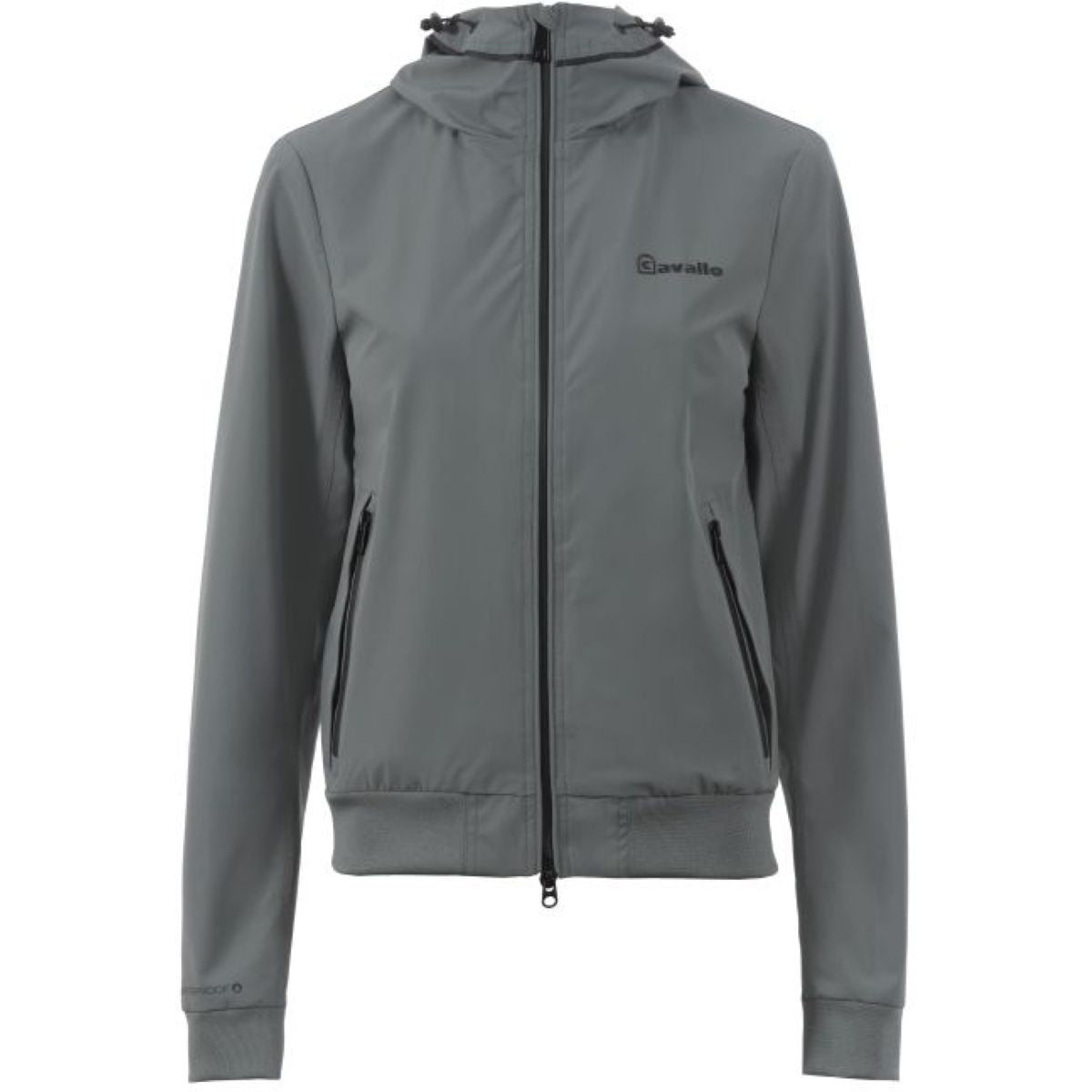 Cavallo Chaqueta CavalNilam Thyme