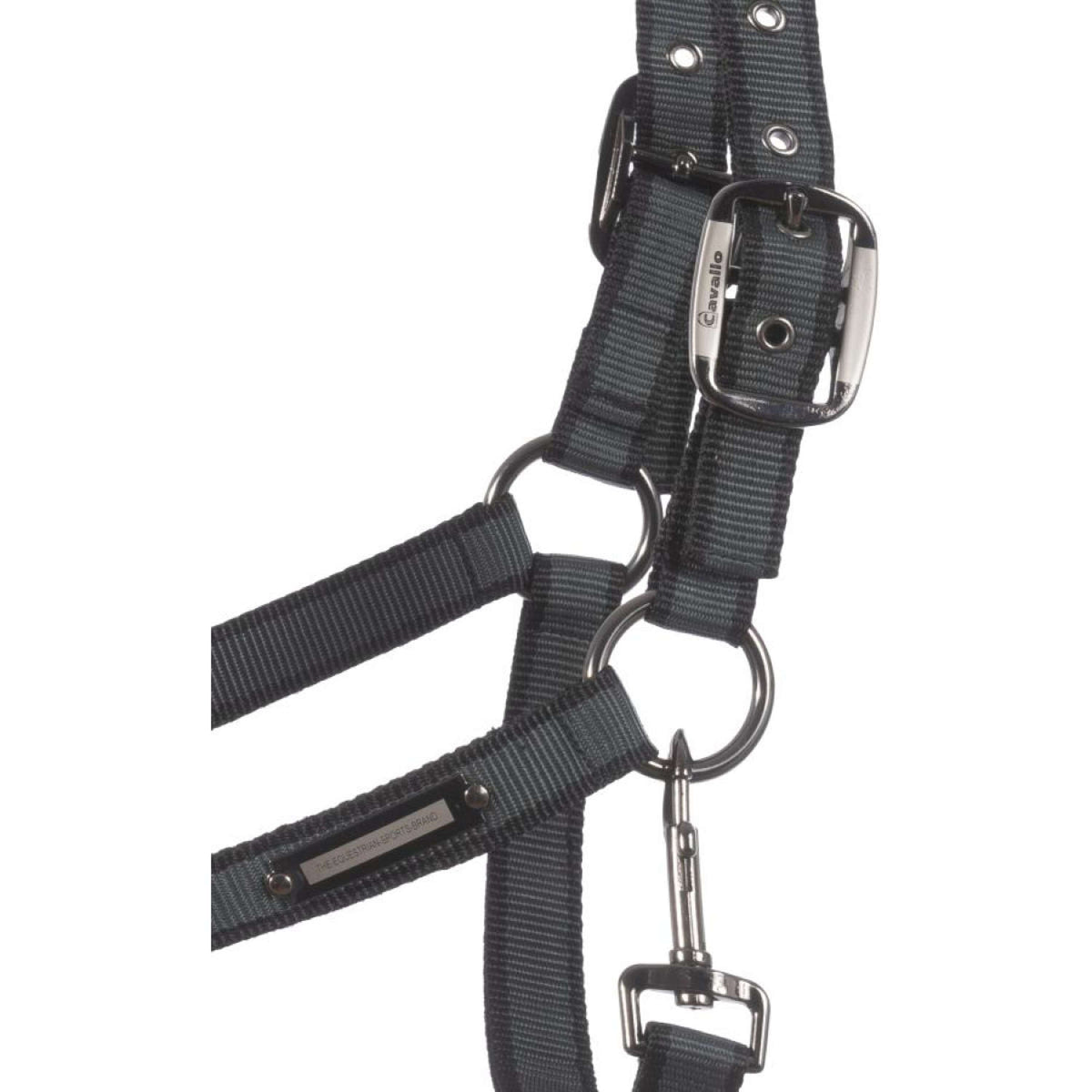 Cavallo Cabezada Caval Softshell Thyme