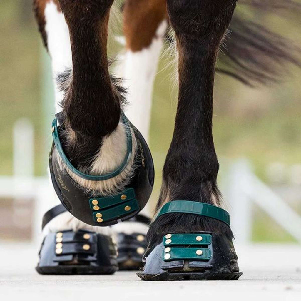 Scoot Boot Pastern Strap Esmeralda