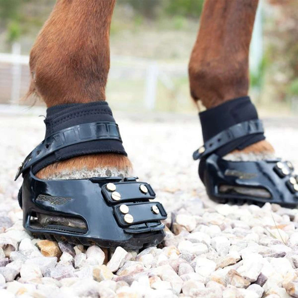 Scoot Boot Endurance Gaiter Negro