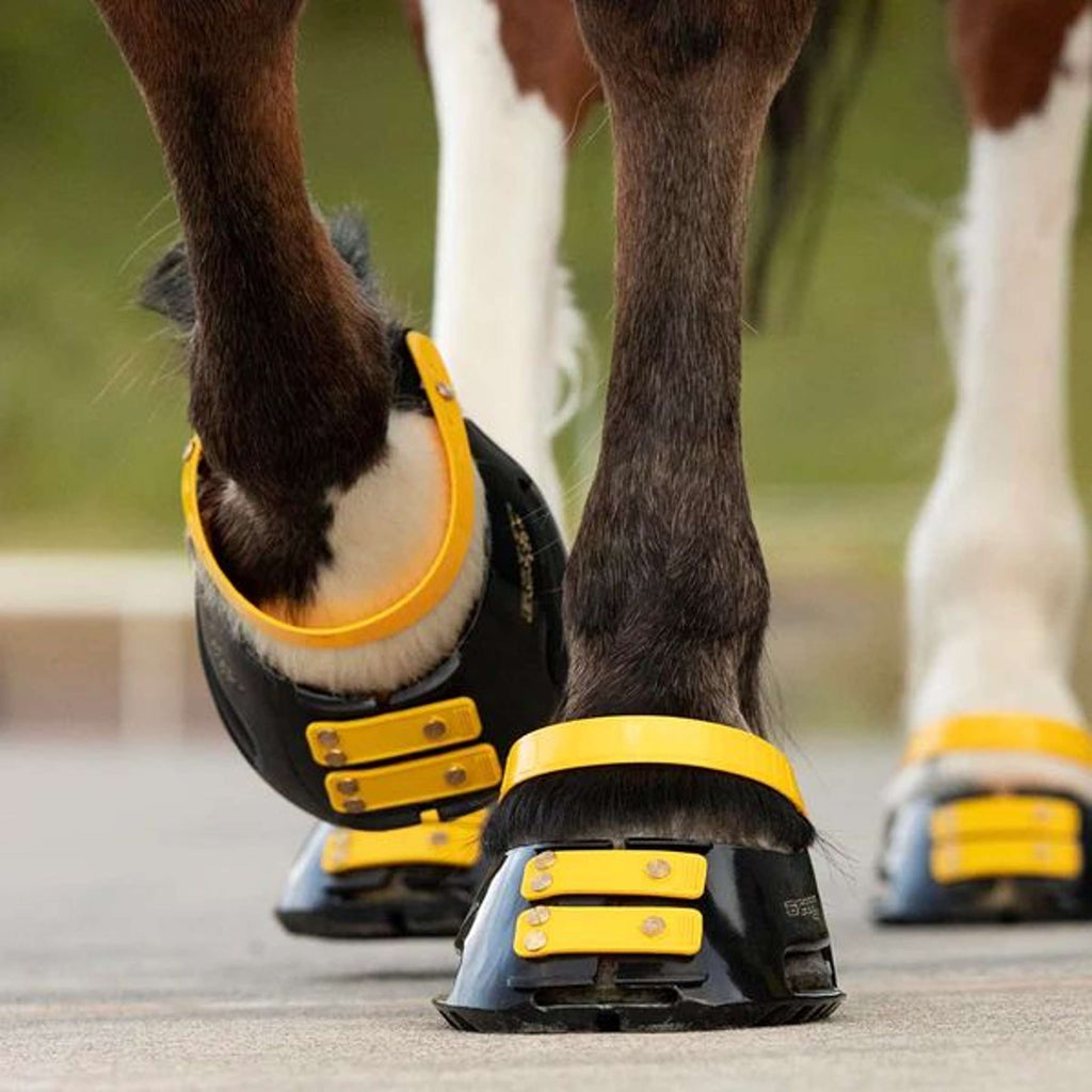 Scoot Boot Front Strap Marigold