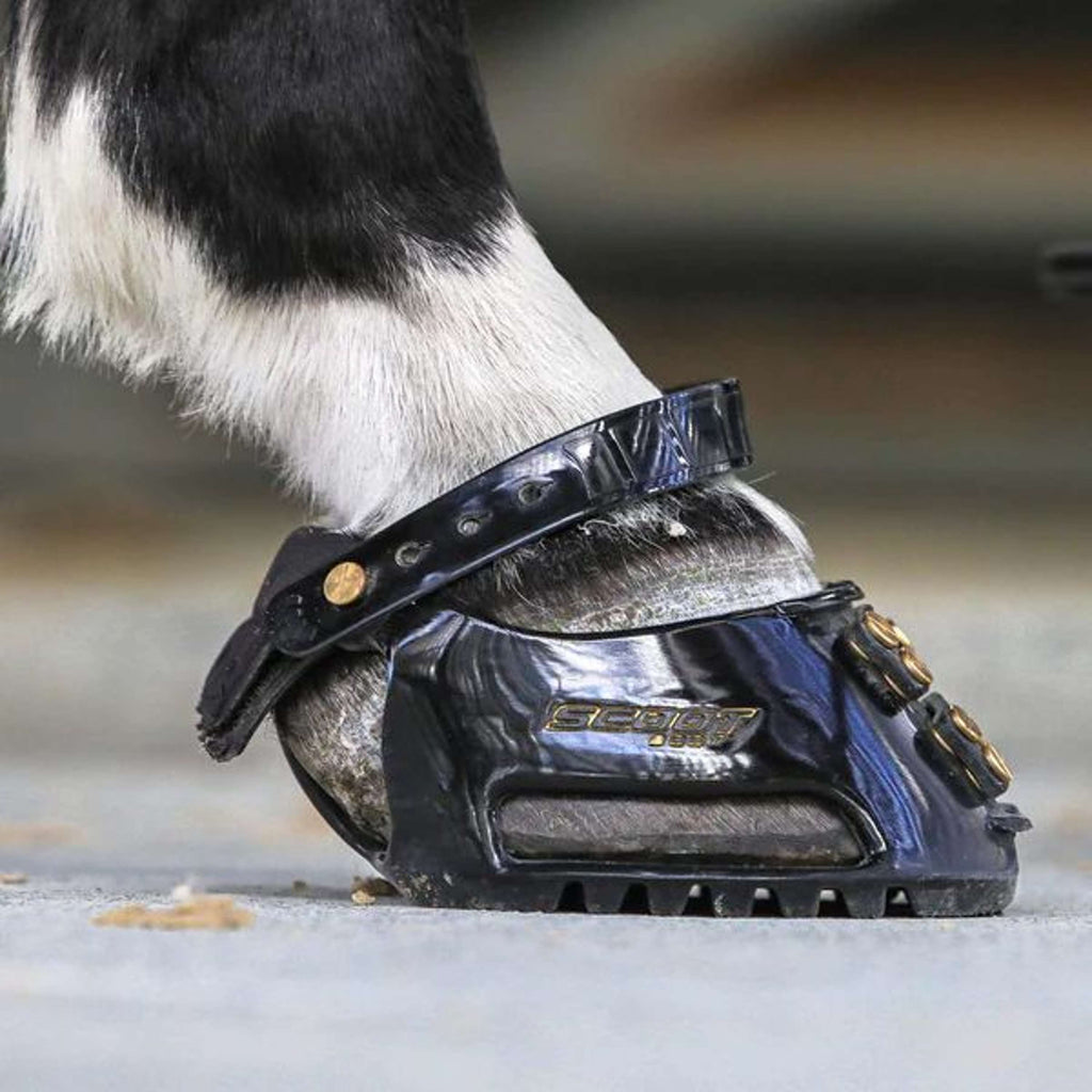 Scoot Boot Herradura Slim Single Pony Negro