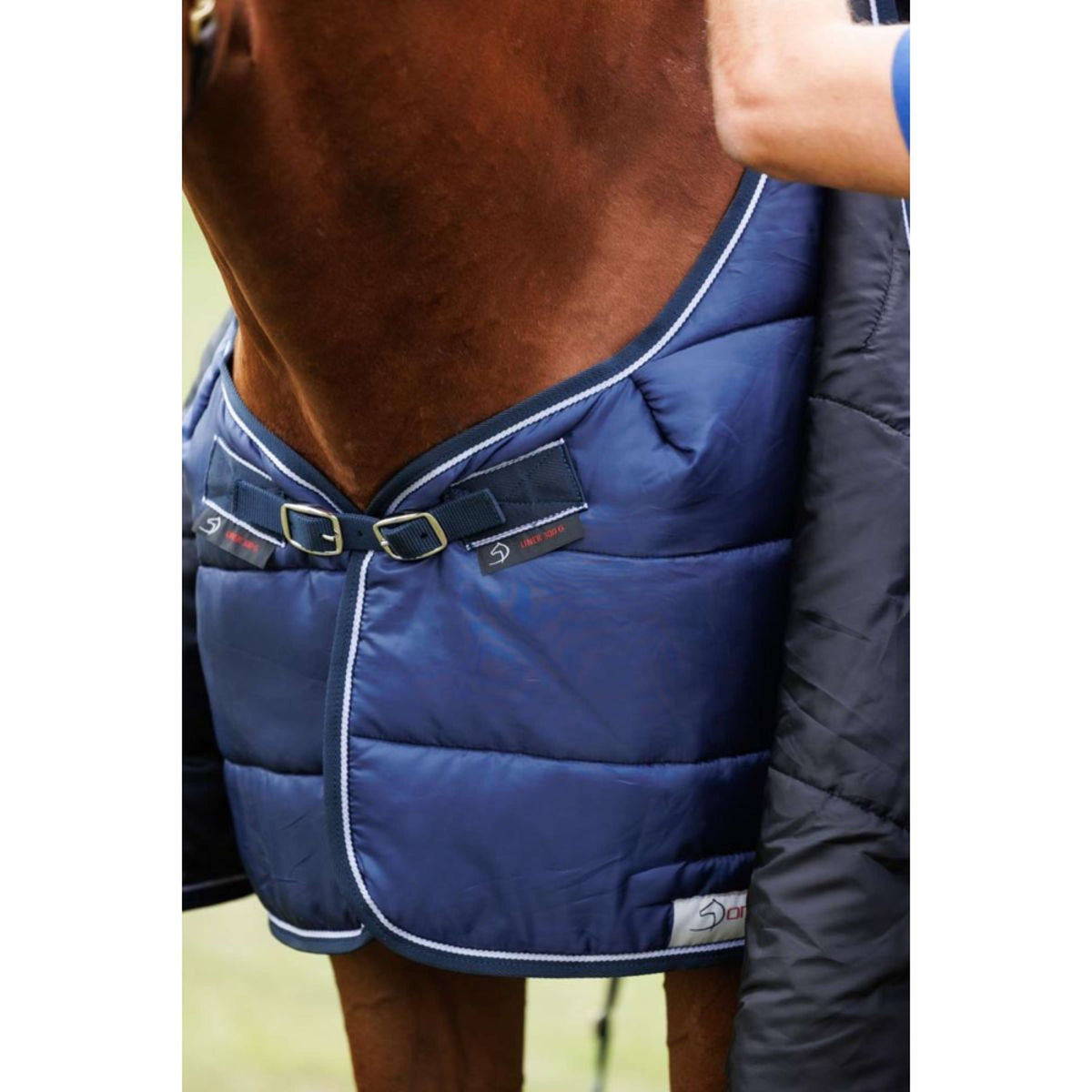 Dominick Alfombra de Exterior Turnout Lite 0g 0g Marino/Blanco