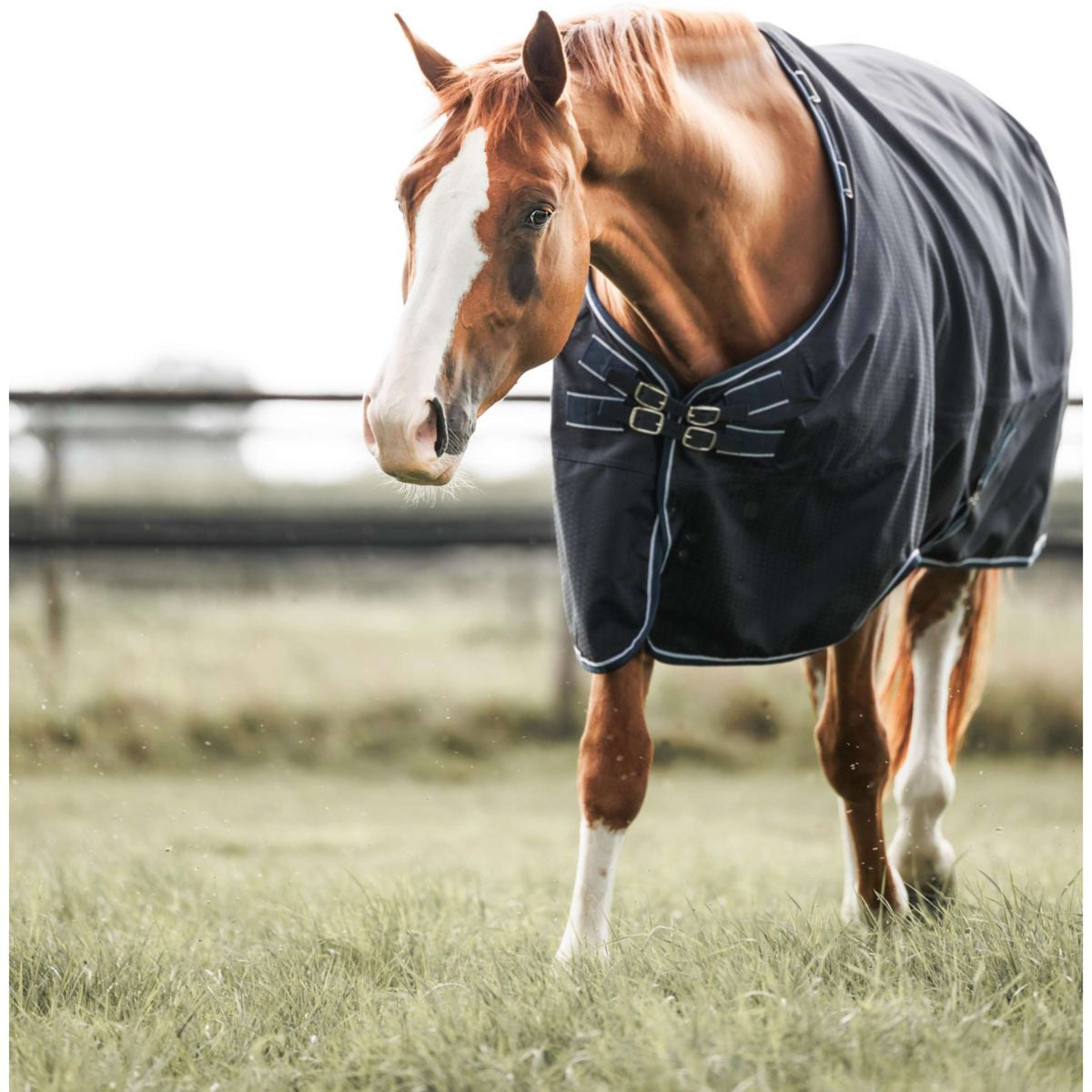 Dominick Alfombra de Exterior Turnout Lite 0g 0g Marino/Blanco