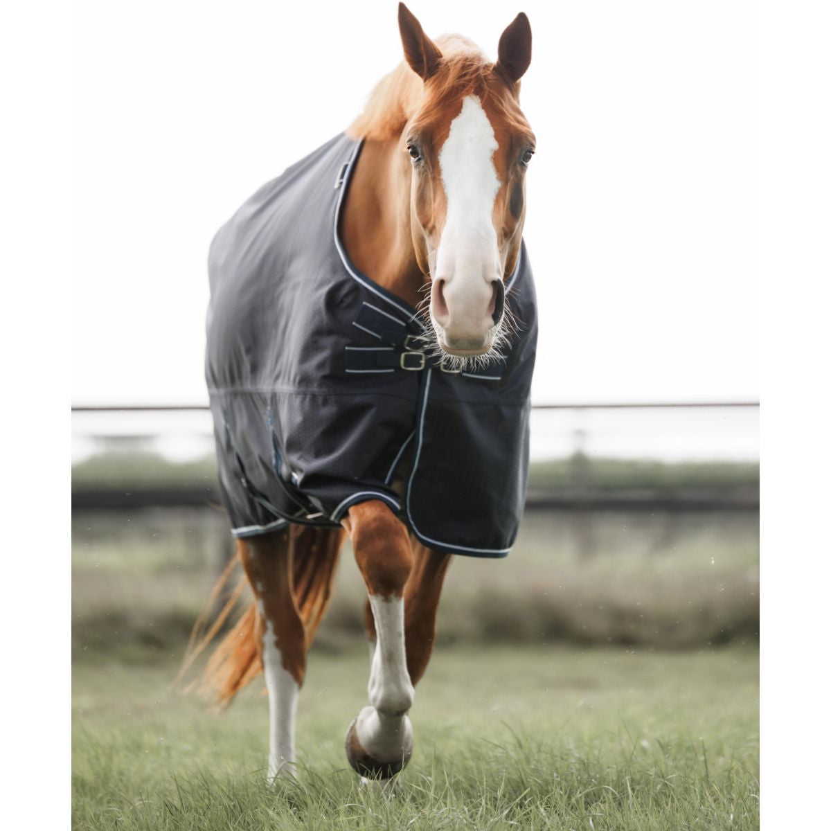 Dominick Alfombra de Exterior Turnout Lite 0g 0g Marino/Blanco