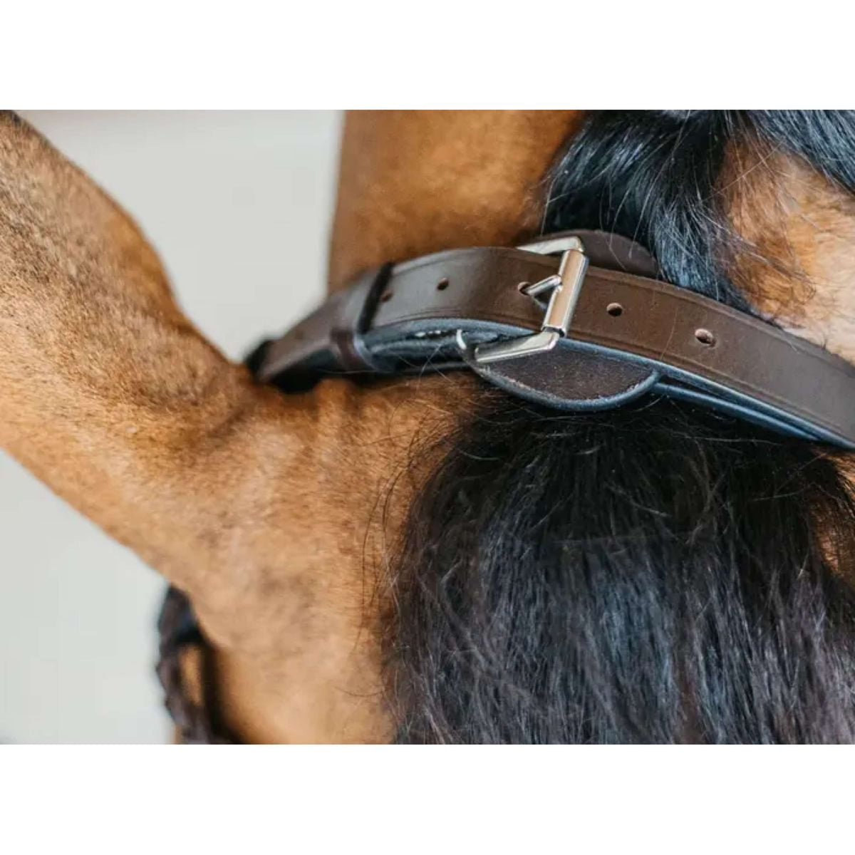 Dyon Brida Training Marron