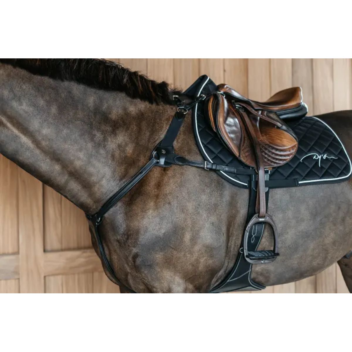 Dyon Arnés de Pecho 5 points New English Negro