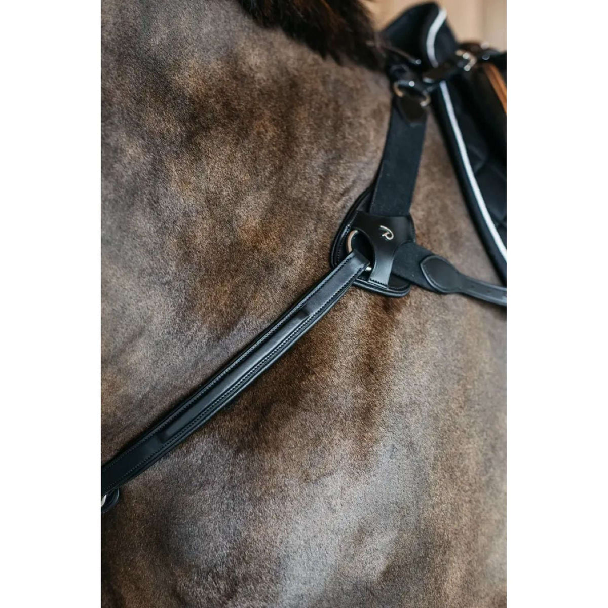 Dyon Arnés de Pecho 5 points New English Negro