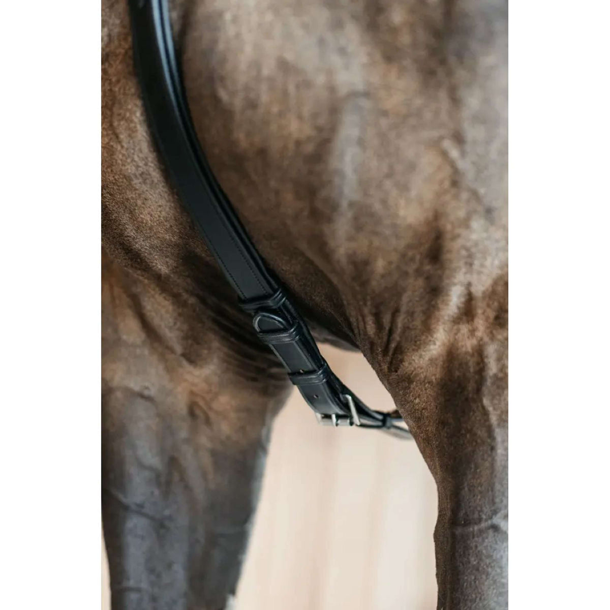 Dyon Arnés de Pecho 5 points New English Negro