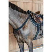 Dyon Arnés de Pecho New English Negro