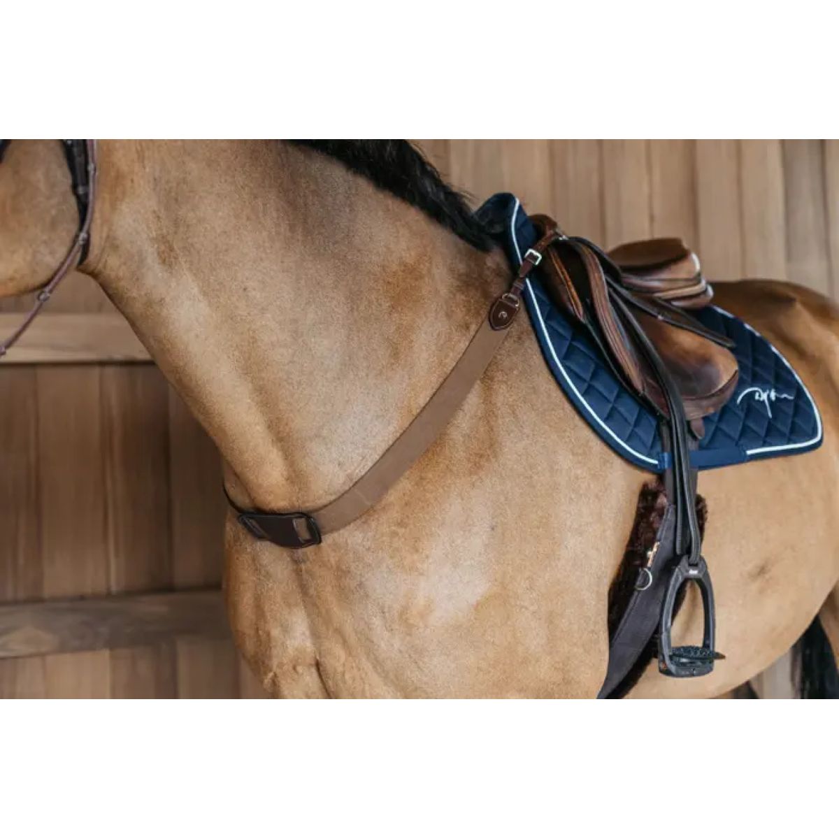 Dyon Arnés de Pecho New English Marron