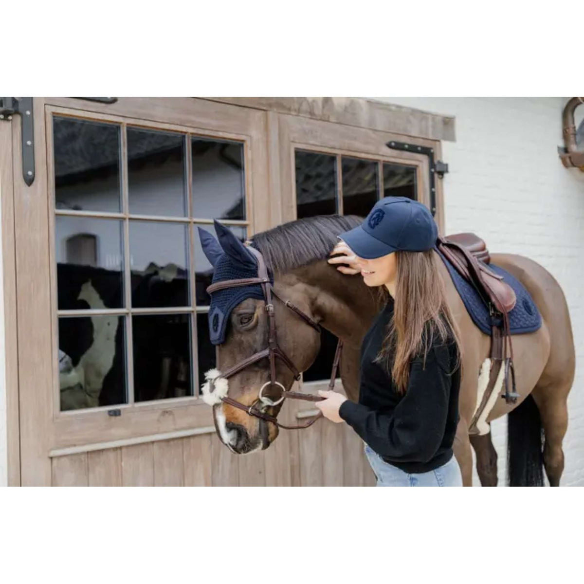 Dyon Arnés de Pecho New English Marron