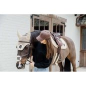 Dyon Brida Mexicana Figure 8 Marron