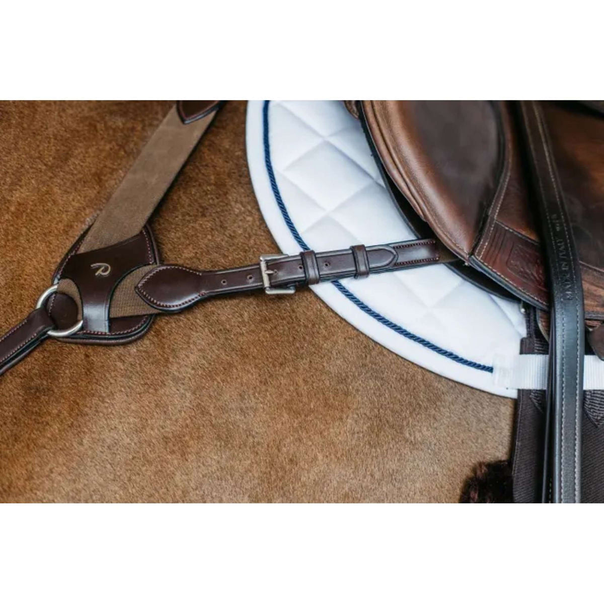 Dyon Arnés de Pecho 5 points New English Marron