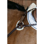 Dyon Arnés de Pecho 5 points New English Marron