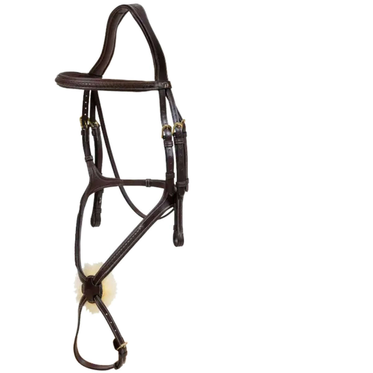 Dyon Brida Mexicana Figure 8 Marron