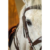 Dyon Anteojeras Negro