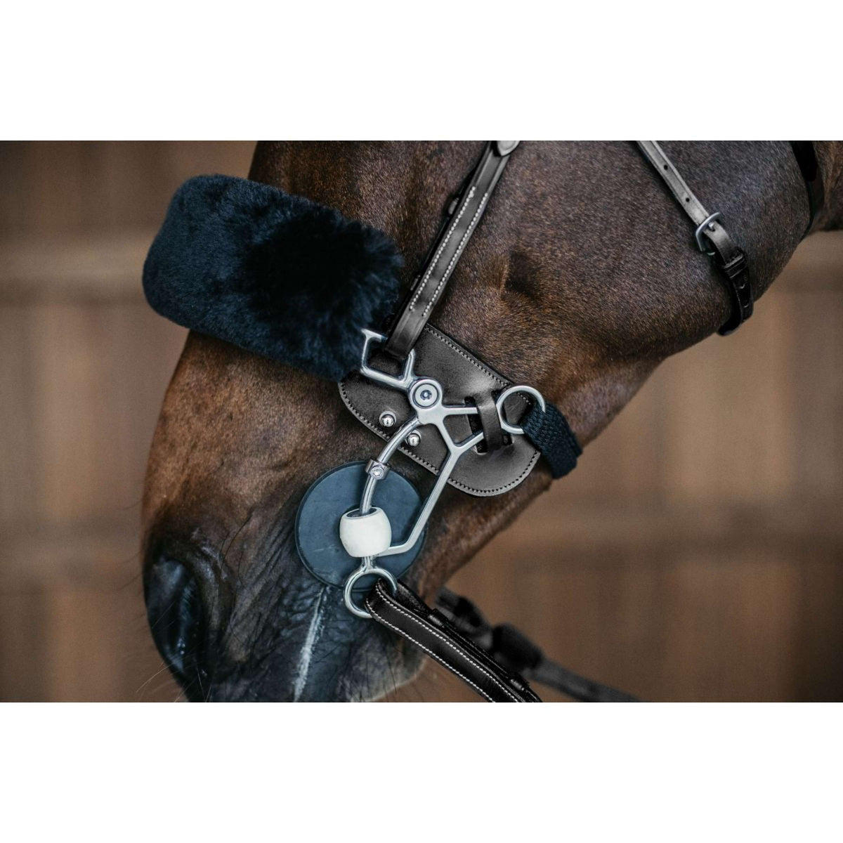 Dyon Protección Hackamore Negro