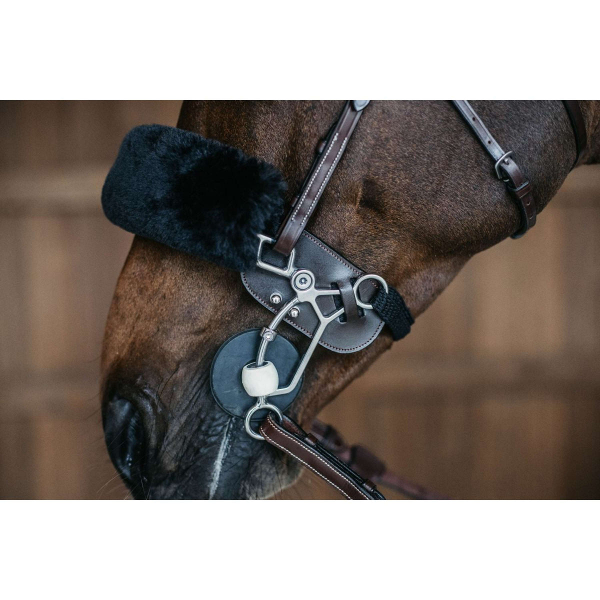 Dyon Protección Hackamore Marron