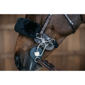 Dyon Protección Hackamore Marron
