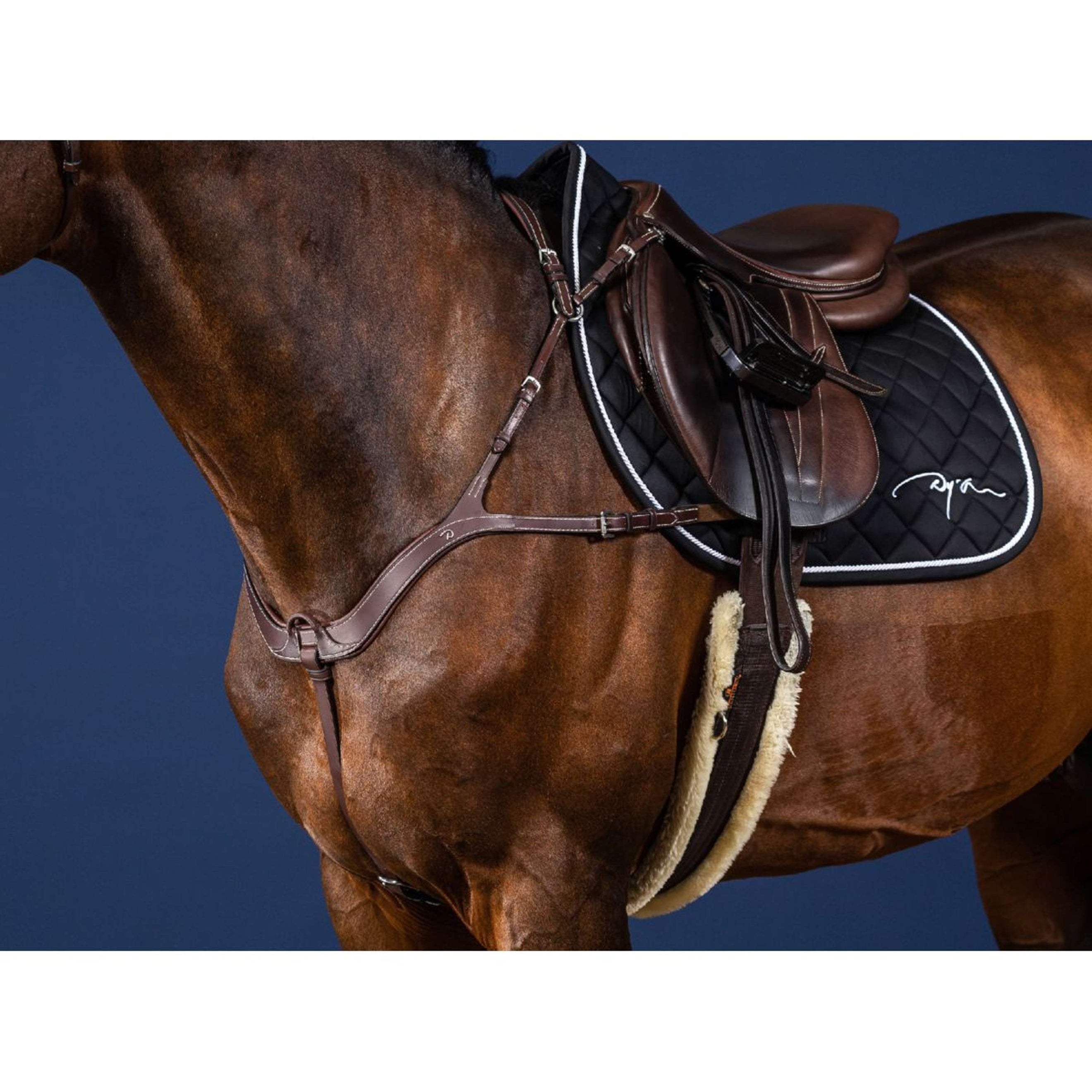 Dyon Arnés de Pecho Anatomical Marron/Plata Dyon Arnés de Pecho Anatomical Marron/Plata