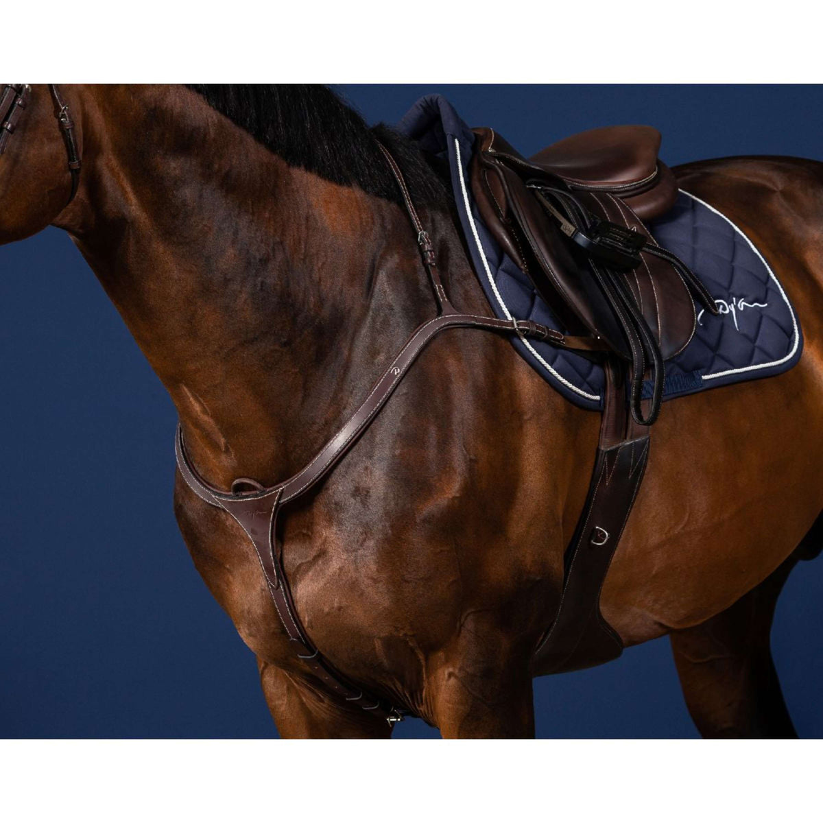 Dyon Arnés de Pecho Long Bridge Marron/Plata