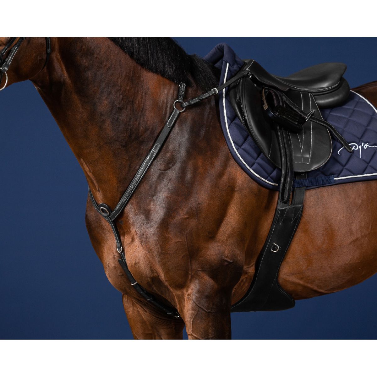 Dyon Arnés de Pecho Bridge Negro