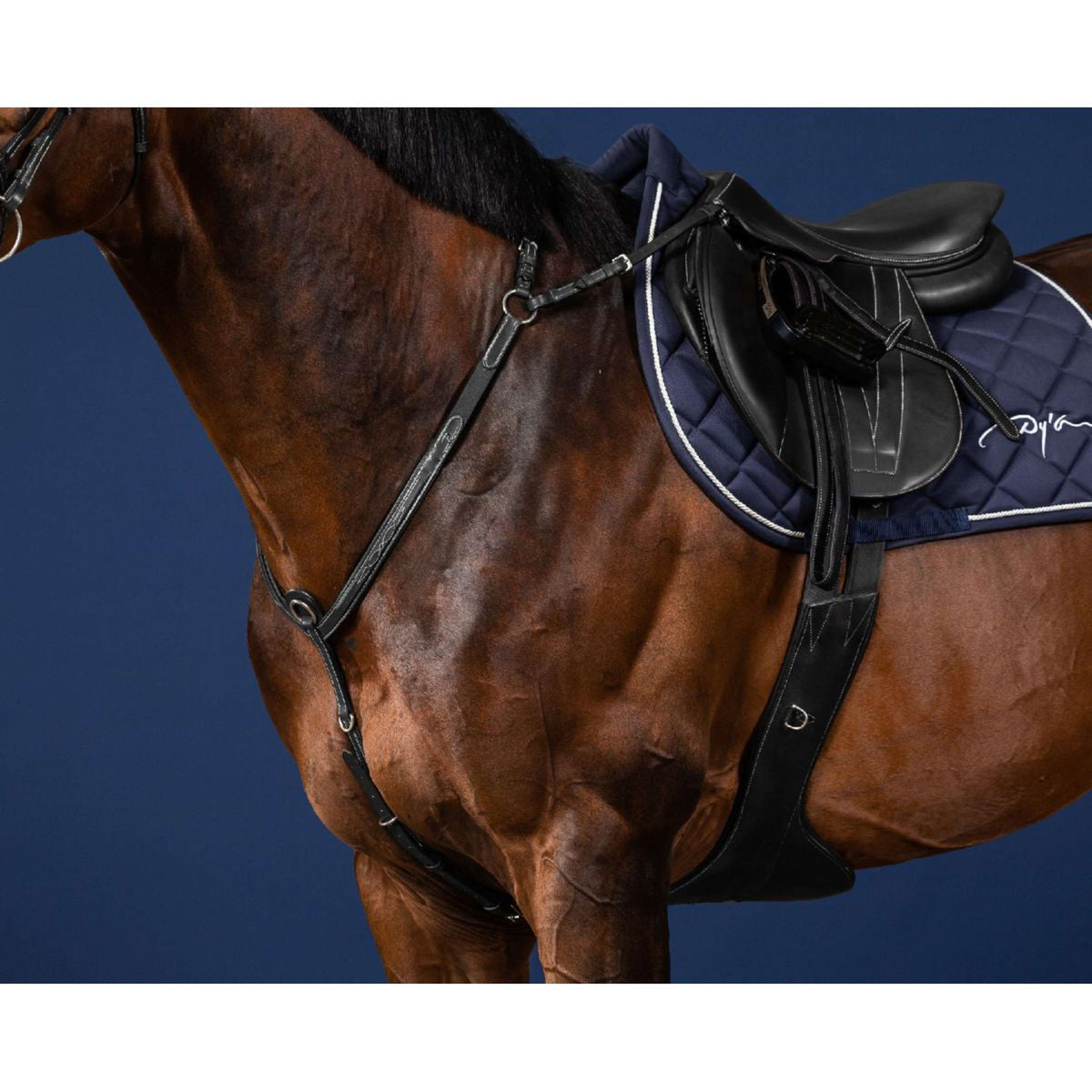 Dyon Arnés de Pecho Bridge Negro