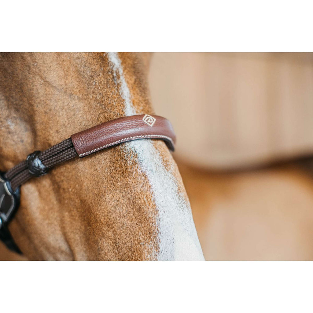 Dyon Brida sin Bocado 140,0  Marron