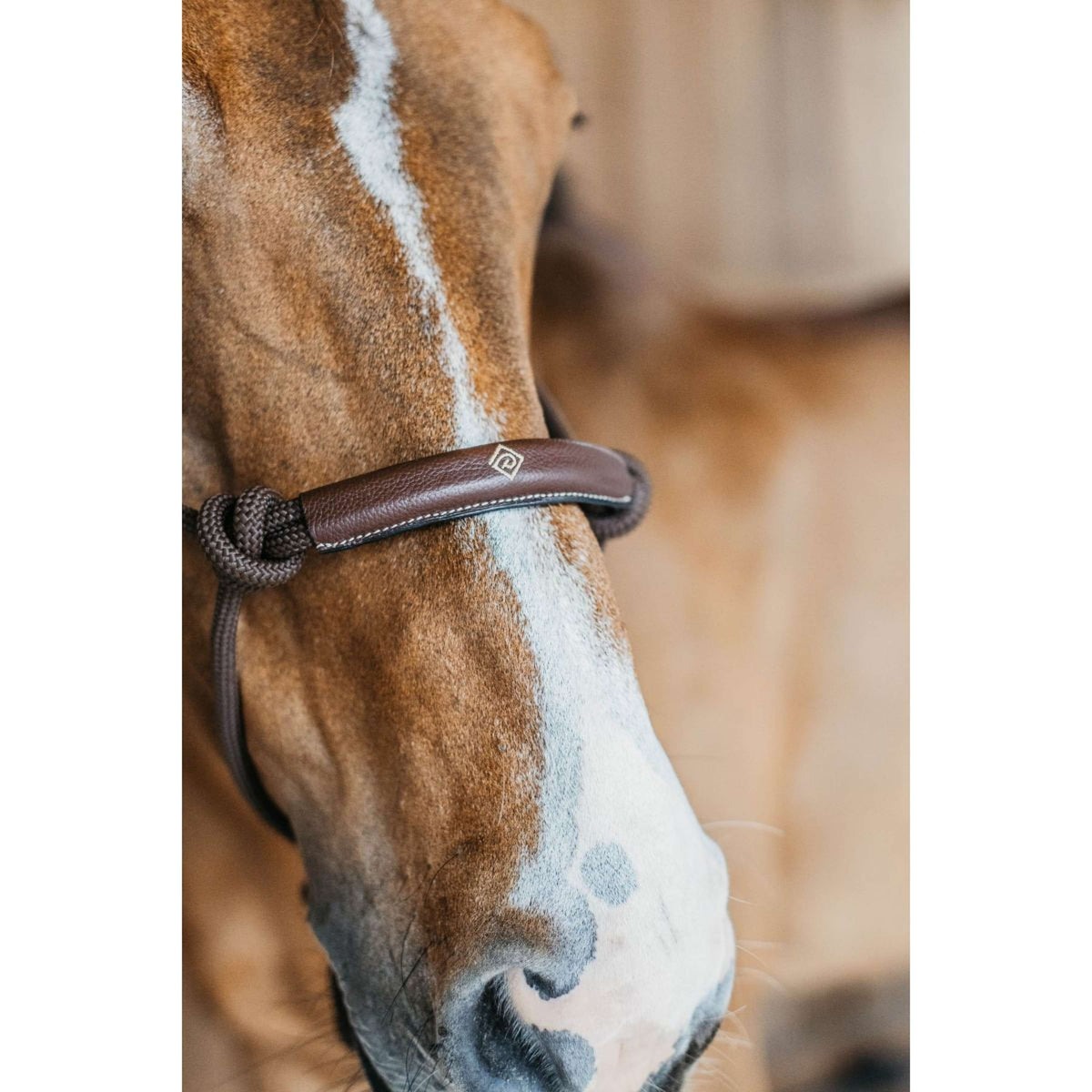 Dyon Cabezada de entrenamiento 25,0  Marron