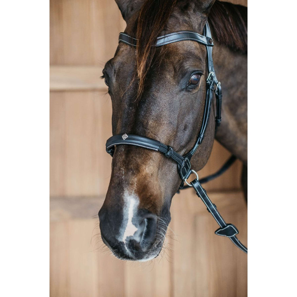 Dyon Brida sin Bocado 140,0  Negro