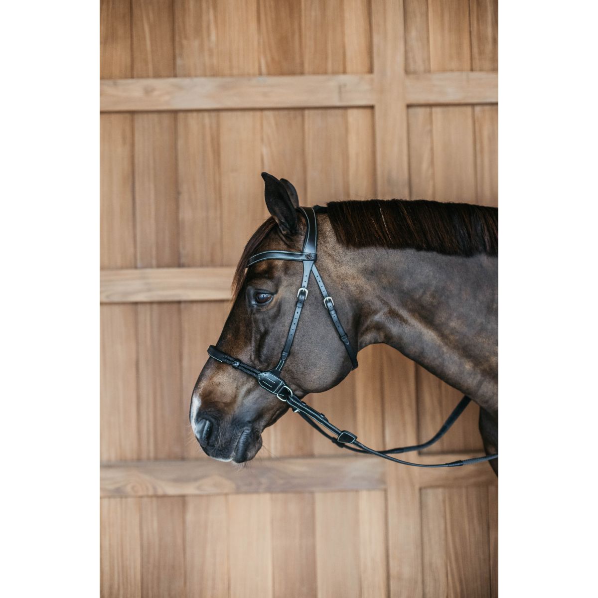 Dyon Brida sin Bocado 140,0  Negro