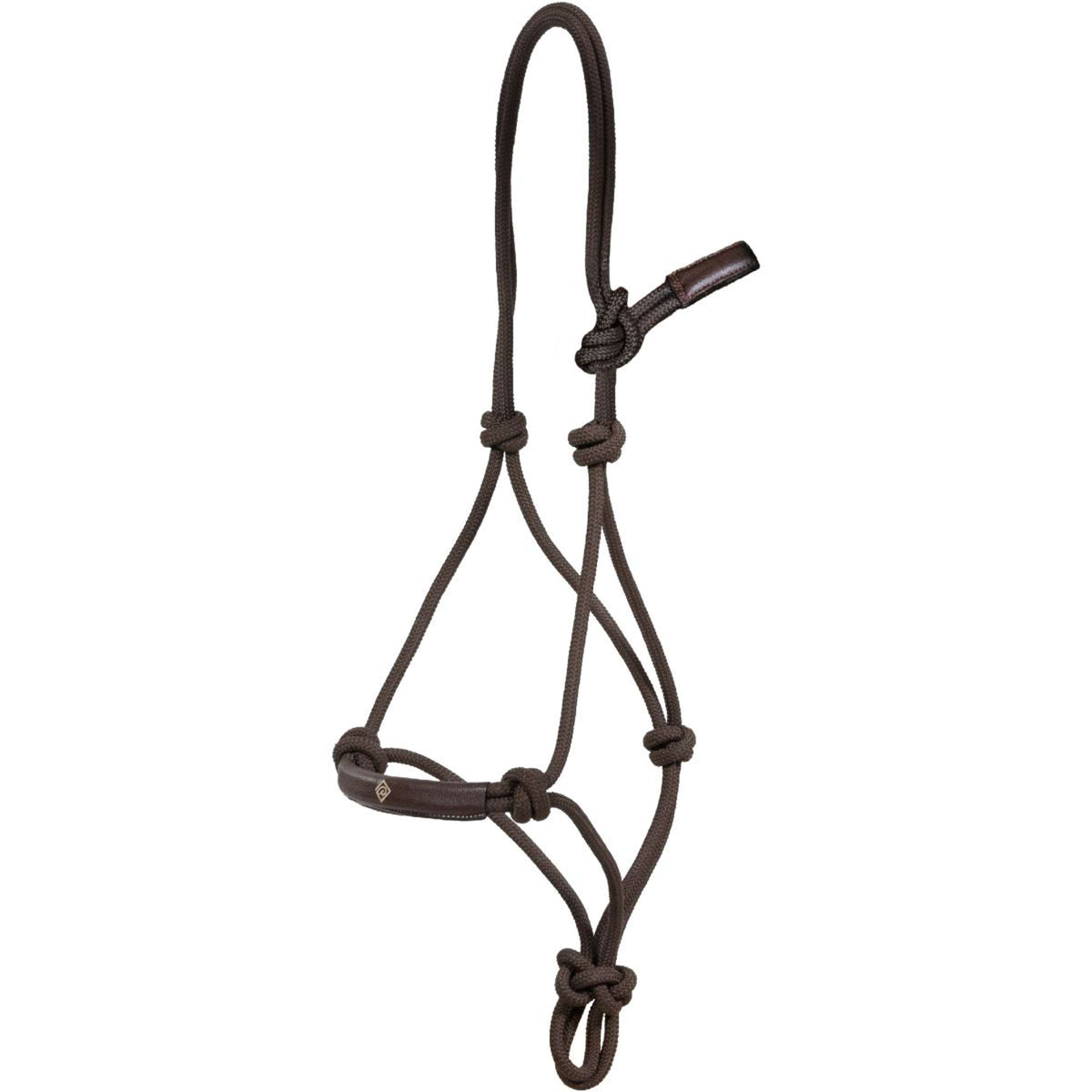 Dyon Cabezada de entrenamiento 25,0  Marron