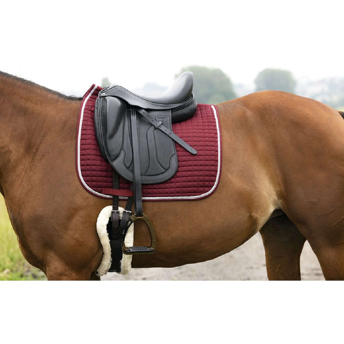 Riding World Mantilla Girly Doma Bordeaux