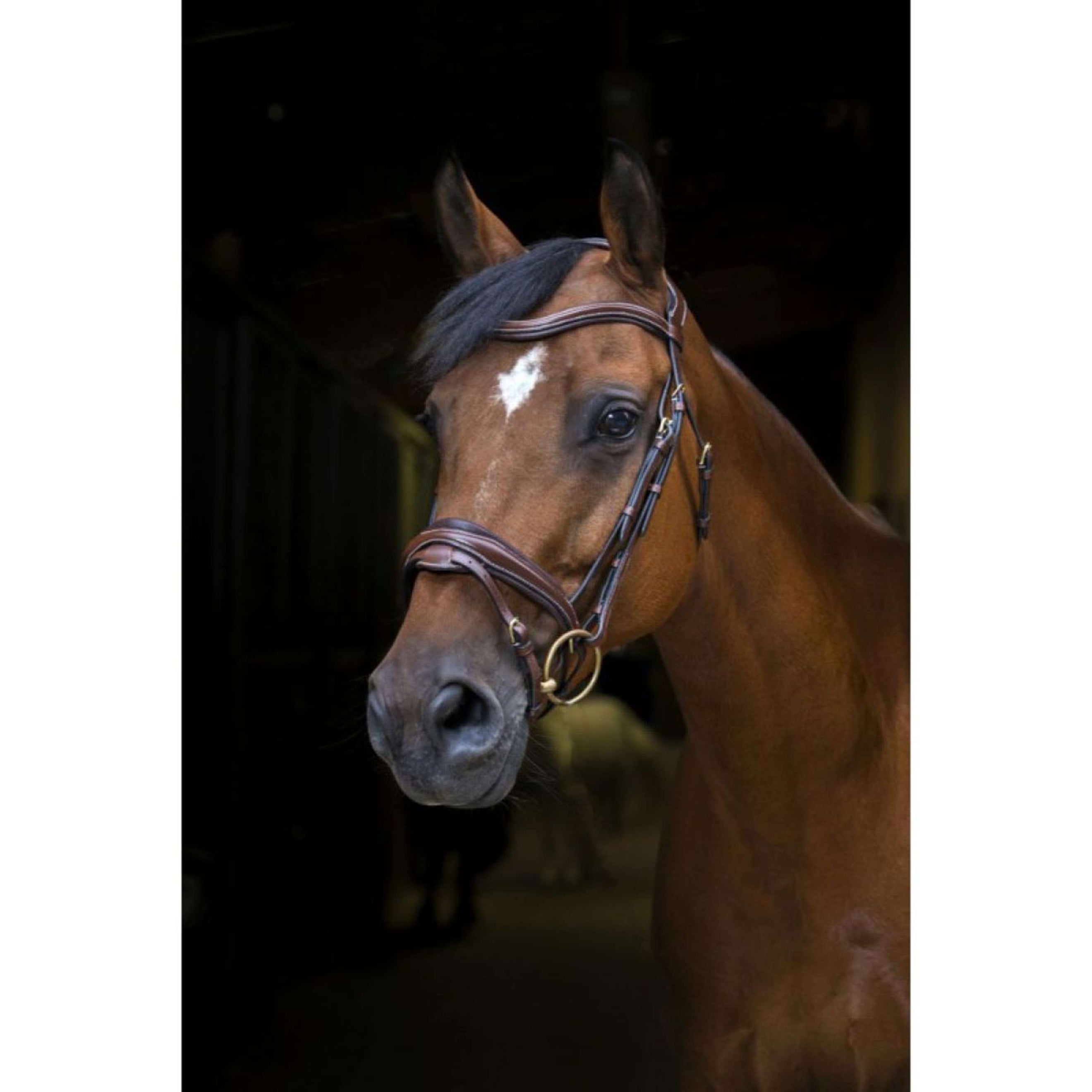 Eric Thomas Brida Pro Design Habana