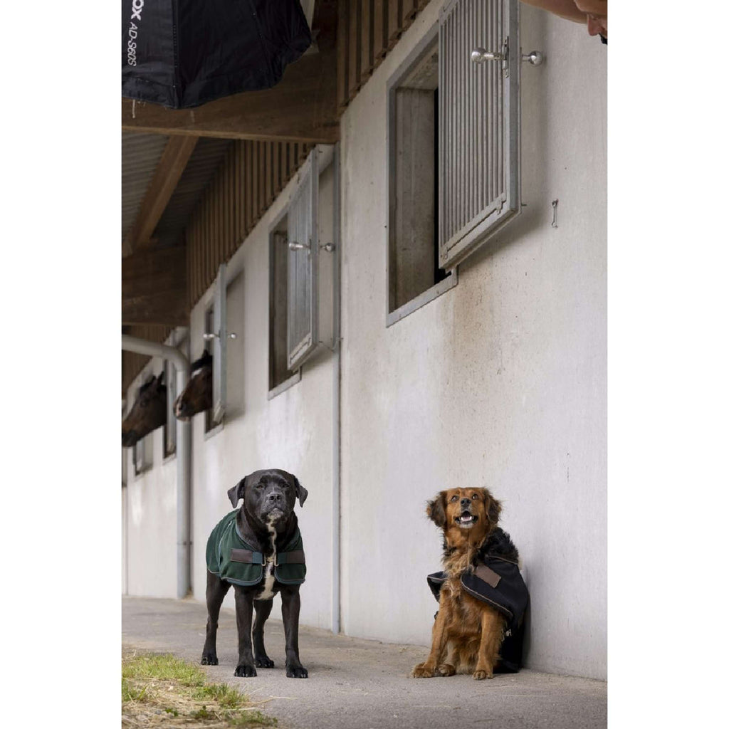 Diego & Louna Manta para Perros Polar Negro