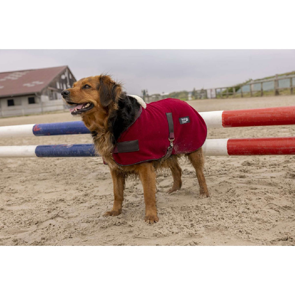 Diego & Louna Manta para Perros Polar Bordeaux