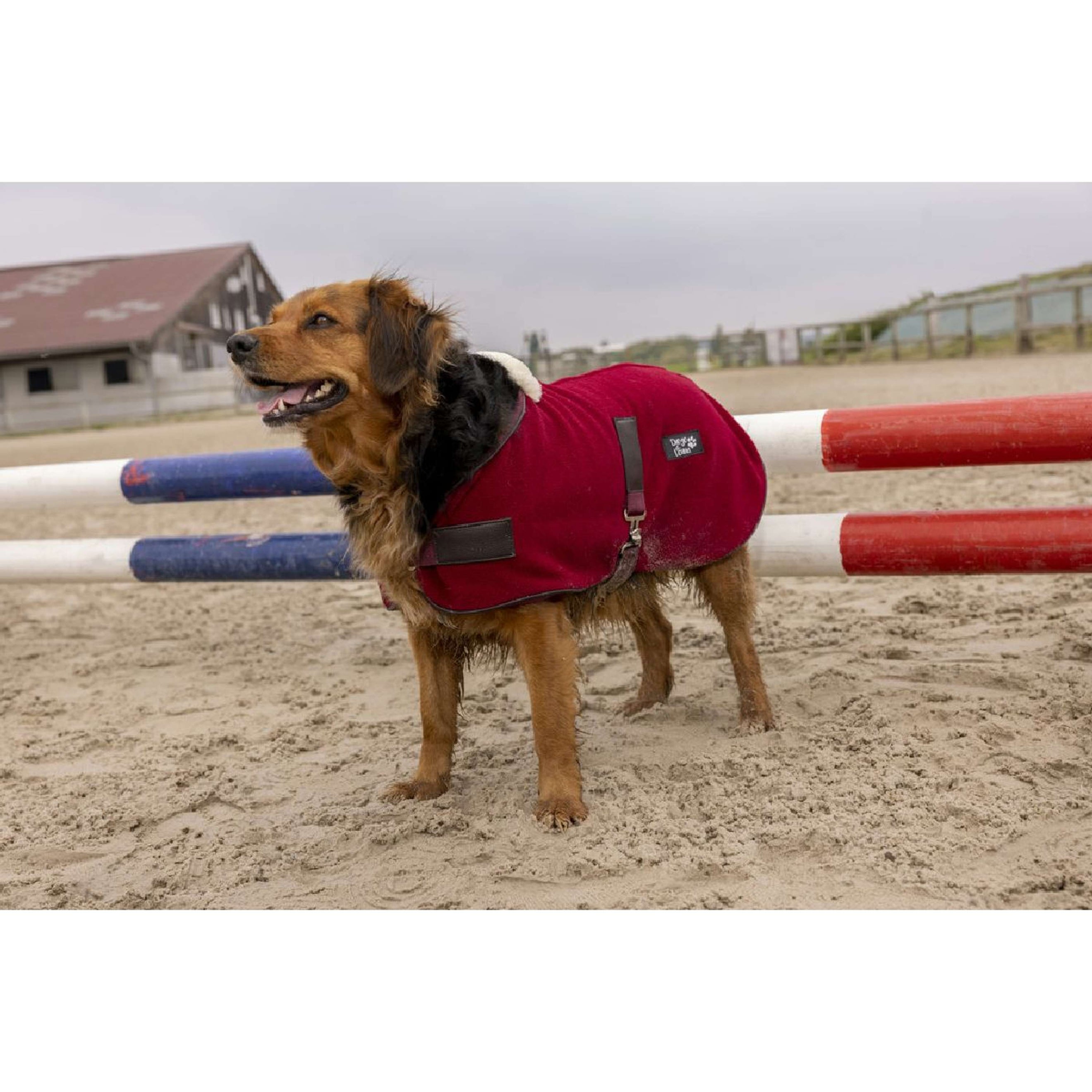 Diego & Louna Manta para Perros Polar Bordeaux