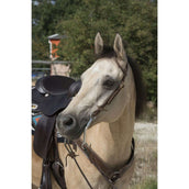 Westride Brida 2 Oreille Choco