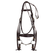 Norton Brida para Caballo de Tiro Habana