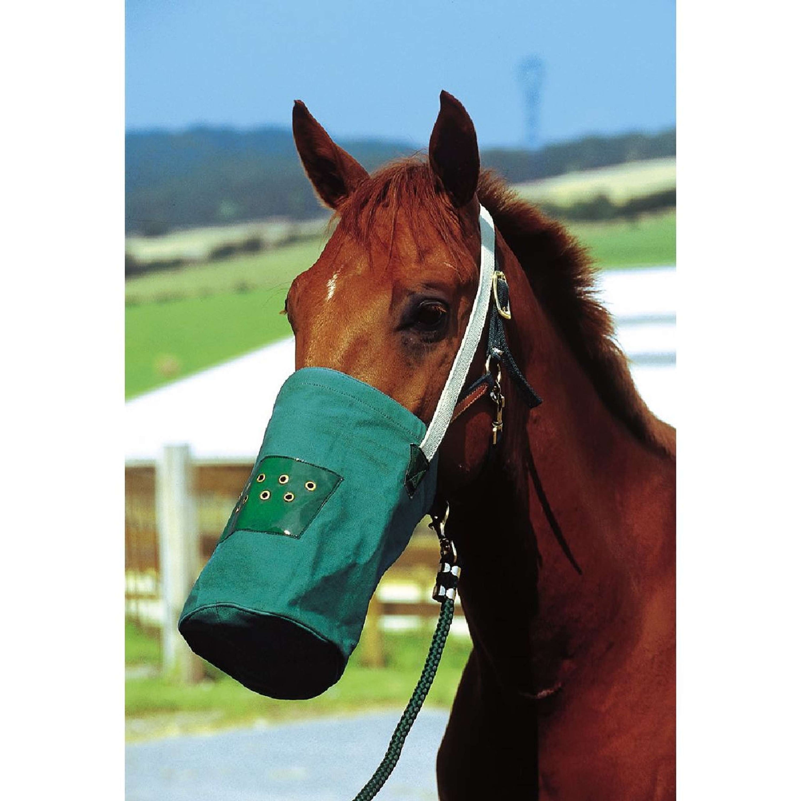 Hippotonic Bolsa de pienso Canvas Verde
