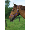 Norton Cabestro Nylon con Forro de Cuero Morado