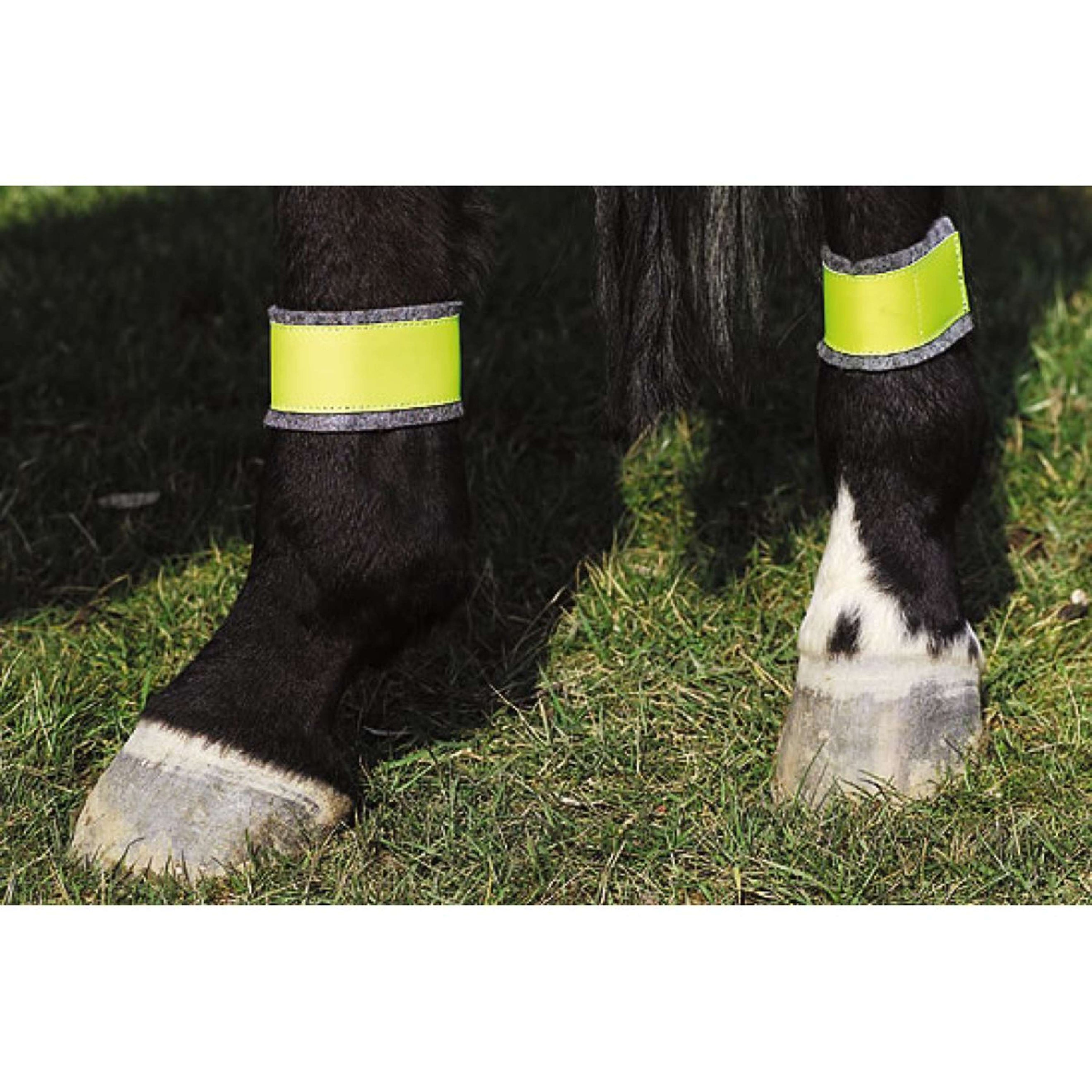 Norton Banda Reflectante Patas traseras Amarillo