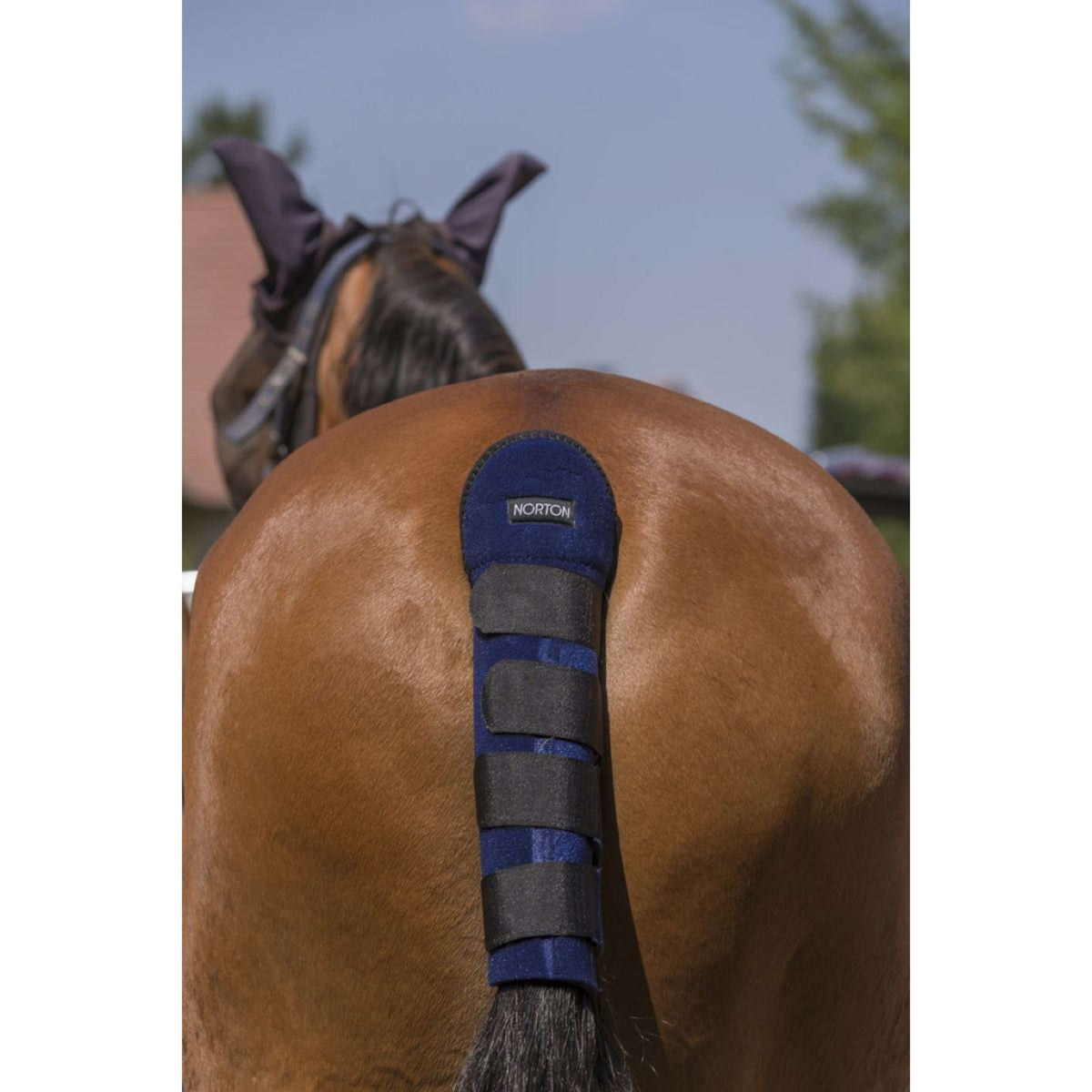 Norton Protector de Cola High Protection Navy