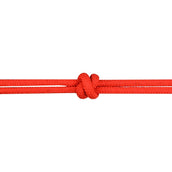 Norton Cabezada de montar Portuguese (PT): com Rédeas Rojo