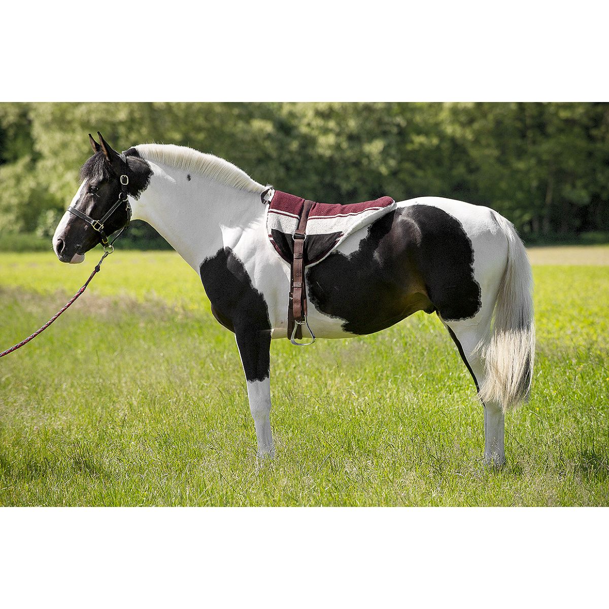 Norton Bareback Pad Marron Beige