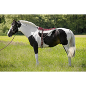 Norton Bareback Pad Marron Beige