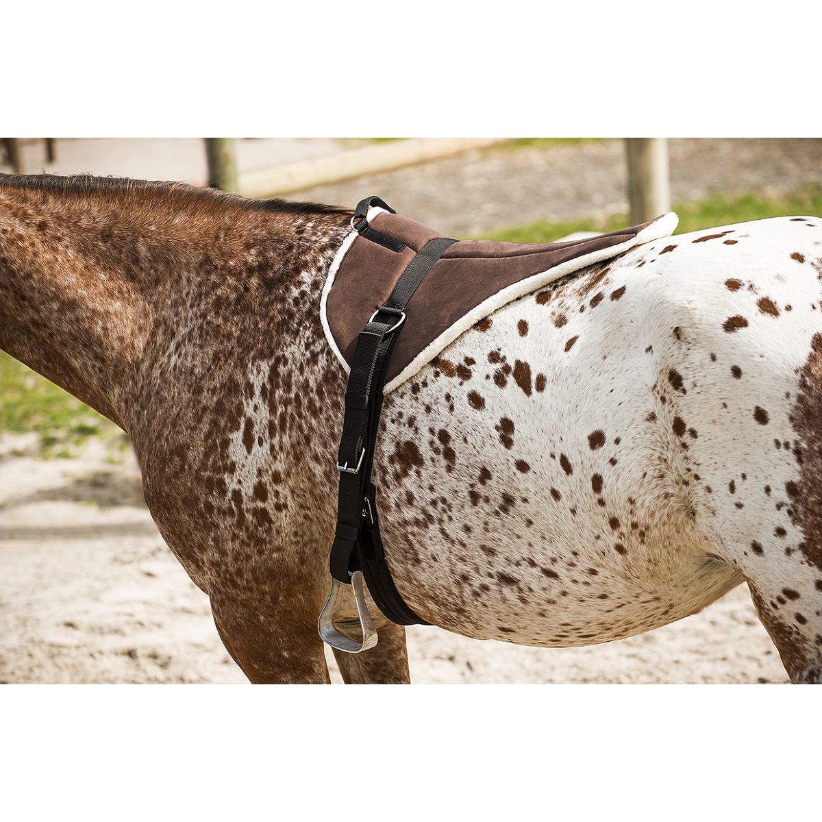 Norton Bareback Pad Soft Marron Beige