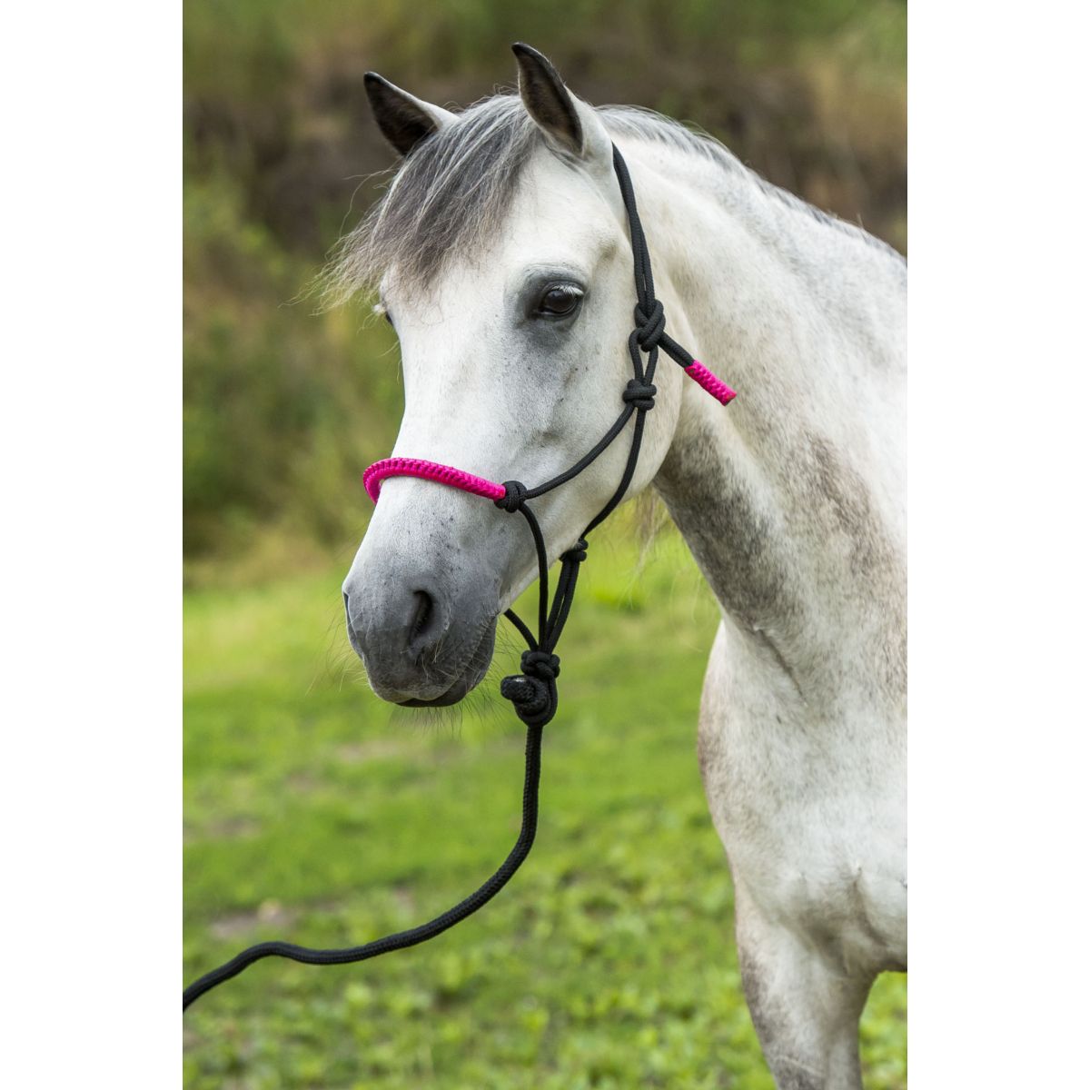 Norton Cabezada y Ramal Fun Colour Ethologisch Negro/Fucsia